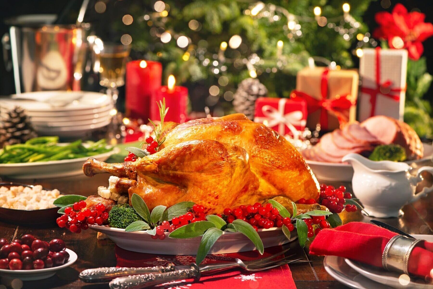 Orange County Holiday Catering Services Holiday Catering Orange County - image of christmas turkey dinner